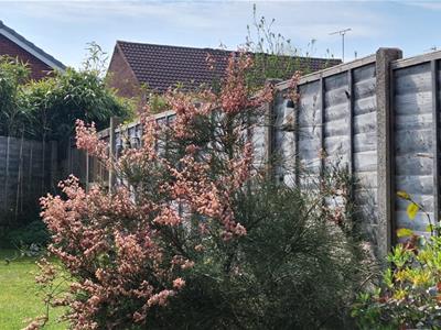 Picture 24